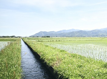 美味しさへのこだわり